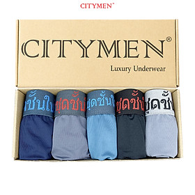 Hộp 5 Quần Lót Nam lưng Thái hiệu CITYMEN vải lạnh co giãn 4 chiều cao cấp, sịp nam - LMTK-THAIAL