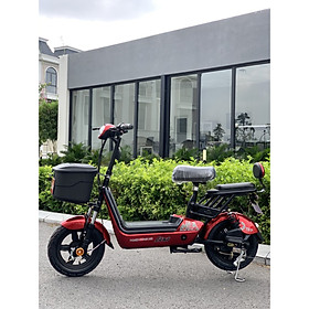 XE ĐẠP ĐIỆN LIXI TRÁI NHO