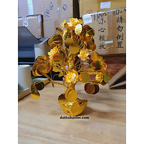 Mua Cây Kim Tiền Vàng  Lộc Tài ( 2 cỡ cao: 29cm và 26cm)