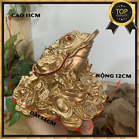 [Linh vật phong thủy] Tượng Cóc 3 chân cóc Thiềm Thừ ngậm tiền tài lộc chiêu giữ tài lộc - Chiều Cao 11cm - màu nhũ đồng