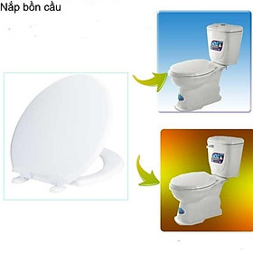 Mua nắp nhựa bồn cầu mã 1803