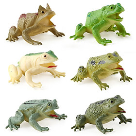 Bộ 6 đồ chơi Ếch nhái giả Frog Toy size lớn nhiều màu y như thật cho bé chơi Halloween