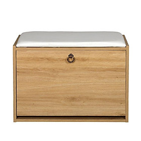 TỦ GIÀY THÔNG MINH BẰNG GỖ SMHOME