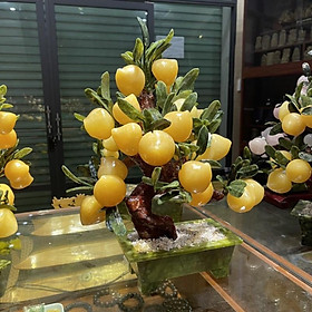 Mua Cây Đào Vàng Hoàng Long 18 Quả Siêu To - Để Bàn  Biếu Tặng vô cùng ý nghĩa