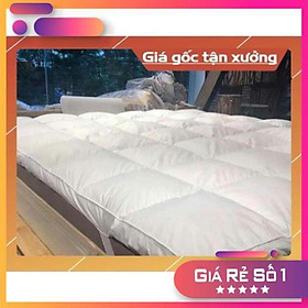 Mua Sale sốc TẤM TOPPER CAO CẤP m6/m8/2mx2m2 độ dày 7cm