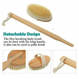 Cây Cọ Lưng Da Khô, Tẩy Da Chết Body, Bàn Chải Chà Lưng Da Khi Tắm Massage Body Cực Đã - Loại Tháo Rời AOE1027