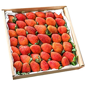 Dâu New Zealand (hộp 500g)