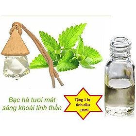 Tinh dầu treo xe, treo phòng Hương Bạc Hà tặng 1 lọ tinh dầu 10ml