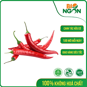 Chỉ Giao HCM - Ớt Hiểm Đỏ Túi 50g