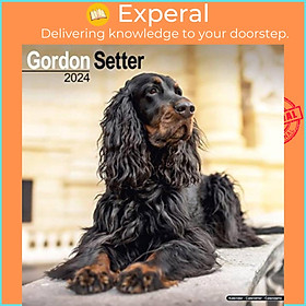 Sách - Gordon Setter Calendar 2024  Square Dog Breed Wall Calendar - 16 Month by  (UK edition, paperback)