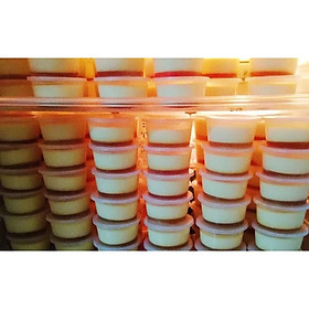 Mua Lốc 50 Hủ làm bánh flan có nắp nhựa - Không mùi - Chịu nhiệt tốt
