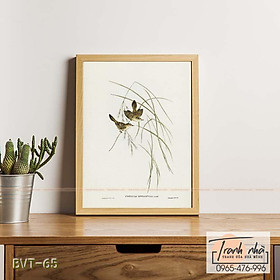 Tranh canvas vintage  - Chim sẻ (Cysticola lineocapilla) - BVT-65