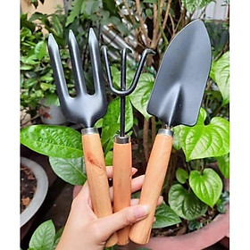 Mua bộ dụng cụ làm vườn 3 món 30 nghìn.