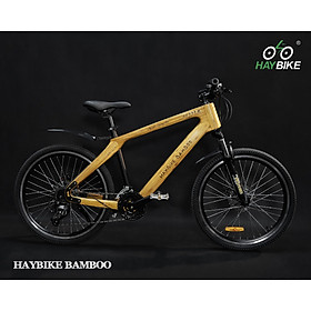 Xe đạp khung tre HayBike BamBoo