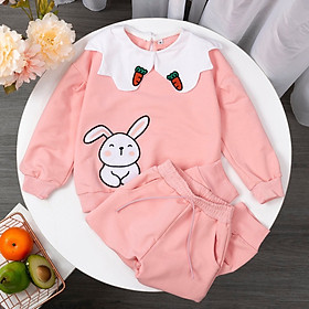 Bộ nỉ cho bé gái 2-8 tuổi cổ sen, Đồ bộ nỉ trẻ em chất liệu nỉ da cá cao cấp không bai