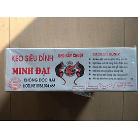 Mua keo dính chuột diệt chuột