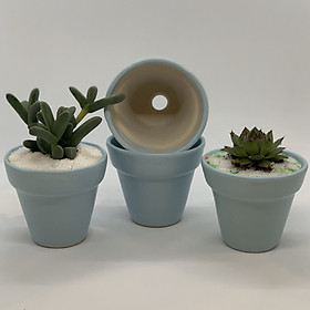 Bộ 4 Chậu Sứ - 7x7x7 Cm - Mầu Xanh Biển - Dáng Trôn Ốc - Chậu Gốm Bát Tràng Trồng Cây Mini Để Bàn, Tiểu Cảnh Terrarium, Sen Đá & Xương Rồng