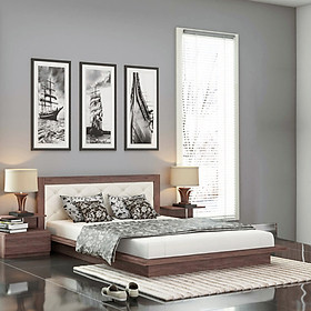 Mua Giường ngủ cao cấp Tundo màu nâu 160cm x 200cm