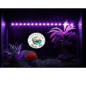 Đèn led chìm Caibao cho bể cá nhiều màu/size màu vàng trắng xanh hồng xanh dương 3 màu RGB 30 40 50 60 80 100 120cm