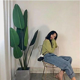 Mua Cây chuối cảnh giả cao 1m2