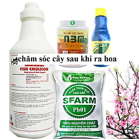 Bộ sản phẩm chăm sóc cây sau khi ra hoa, thu hoạch quả ( đạm cá, n3m, b1, phân Sfarm)