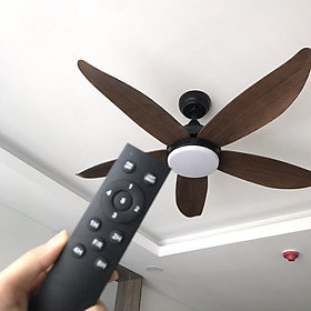 Mua QUẠT TRẦN ĐÈN 5 CÁNH ( 6 số có đảo chiều) điều khiển từ xa