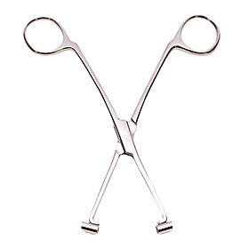 6" Professional Stainless Steel Septum Forceps Body Piercing Clamp Tool
