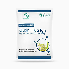 Chế phẩm xử lý lúa lộn, lúa cỏ, lúa 2 tầng, chống xì phèn, chết cây con BS11 Quản lý lúa lộn 500g NSX Bacsicayxanh