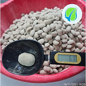 Mua Phân Tan Chậm Hạt Bàng Nhật Nurseryace 12-6-6 (1 Viên/túi)