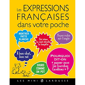 Hình ảnh Sách tham khảo tiếng Pháp: Les expressions Françaises dans votre poche