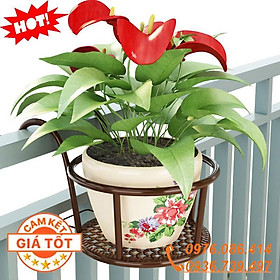 Mua Giá để chậu hoa treo ban công cực sang trọng và lãng mạn
