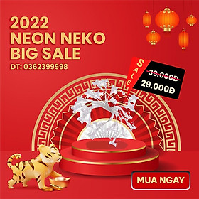 Dây Đèn Kẹp Ảnh Có Đèn Led - Cắm Điện - Đầu cắm USB