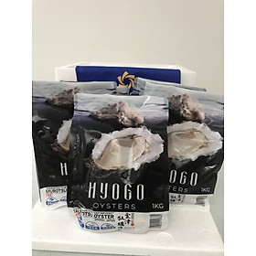 Hàu sữa Nhật Hyogo  Size 9-10 con. - 1kg