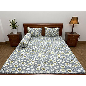 Mua Ga thun lạnh Hàn Quốc 2mx2m2 KHÔNG ÁO GỐI với size nệm 5-20cm