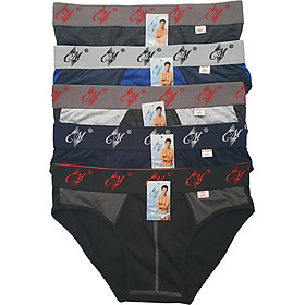 Combo 5 quần lót nam CM, Thương hiệu CITYMEN, đồ lót nam hàng Việt Nam xuất khẩu
