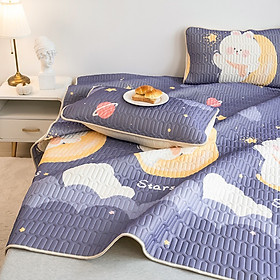 Mua chiếu điều hoà cao su non 2D tặng thêm 2 vỏ gối cùng mẫu