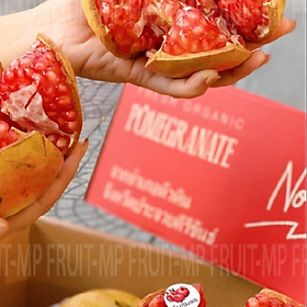 Mua CÂY GIỐNG LỰU THÁI