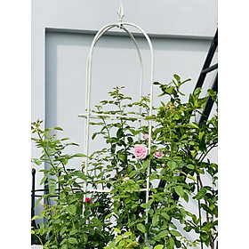 Mua Khung trồng hoa hồng leo cao 1.6 mét - 2.1 met