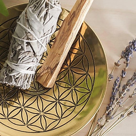 Mua Bộ Xông LÀM SẠCH nhà cửa  bản thân & không gian l XÔ THƠM THANH TẨY