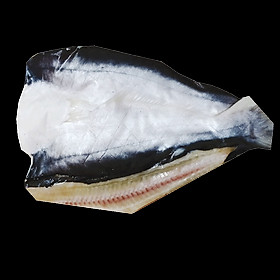 Cá Dứa 1 Nắng