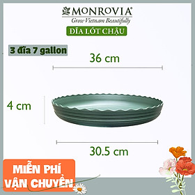 Combo 3 Đĩa lót chậu nhựa trồng cây MONROVIA 7 GL, chậu trồng cây, chậu cây cảnh mini, để bàn, treo ban công, treo tường, cao cấp, chính hãng thương hiệu MONROVIA