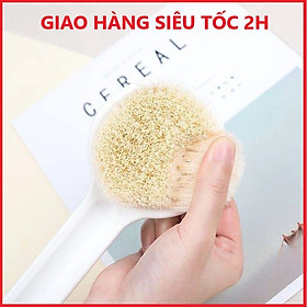 Cọ lưng Nhật Bản