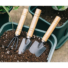 Bộ làm vườn mini cuốc xẻng trồng cây đủ món