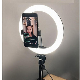 Đèn spa live stream 26cm chân 2.1m hạ được xuống 60cm, dùng cho livestream makeup (tặng kèm đầu đọc thẻ nhớ cao cấp)