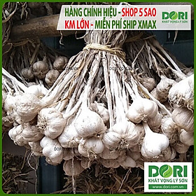 Đặc Sản Hải Dương - Tỏi Hải Dương - Dori Thơm - 1kg - Tỏi bắc củ to cay và thơm