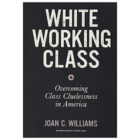 Download sách White Working Class