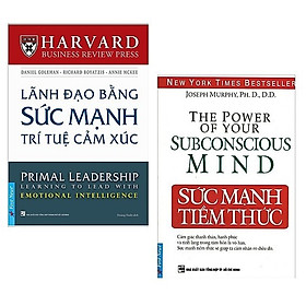 Combo Kĩ Năng Thành Công Lớn Trong Cuộc Sống: Lãnh Đạo Bằng Sức Mạnh Trí Tuệ Cảm Xúc + Sức Mạnh Tiềm Thức