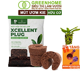 Mút Ươm Kie Greenhome, 6x6x4cm, Giá Thể Hà Lan, Hữu Cơ, Kích Rễ, Ươm Hạt, Chiết Cành Phong Lan, Trồng Thuỷ Canh