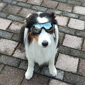 Fashion Pet Dog Goggles Stylish Uv Sunglasses Doggie Dog Accessories Elastic Eye Wear Protection Windproof Glasses Pet Supplies