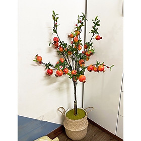 Cây lựu giả - 90cm kèm chậu